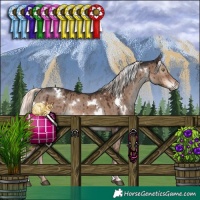 Horse Color:White Spotted Liver Red Dun Mushroom Rabicano Brindle 