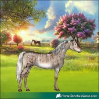 Horse Color:White Spotted Liver Red Dun Mushroom Rabicano Brindle 