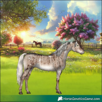 Horse Color:White Spotted Liver Red Dun Mushroom Rabicano Brindle 