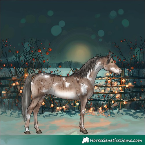 Horse Color:White Spotted Liver Red Dun Mushroom Rabicano Brindle 