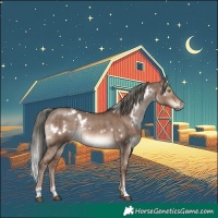 Horse Color:White Spotted Liver Red Dun Mushroom Rabicano Brindle 