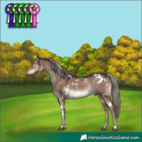 Horse Color:White Spotted Liver Red Dun Mushroom Rabicano