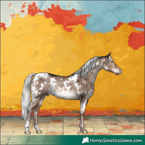 Horse Color:White Spotted Liver Red Dun Mushroom Rabicano Brindle 