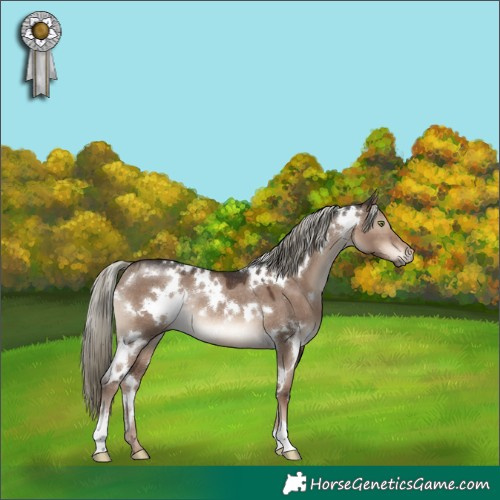 Horse Color:White Spotted Liver Red Dun Mushroom Rabicano