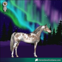 Horse Color:White Spotted Liver Red Dun Mushroom Rabicano