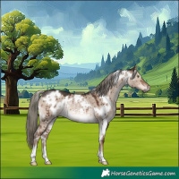 Horse Color:White Spotted Liver Red Dun Mushroom Rabicano Brindle