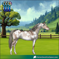 Horse Color:White Spotted Liver Red Dun Mushroom Rabicano Brindle