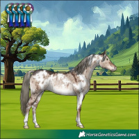 Horse Color:White Spotted Liver Red Dun Mushroom Rabicano Brindle