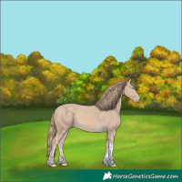 Horse Color:Perlino Tobiano Rabicano 