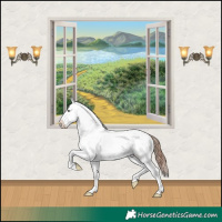 Horse Color:Liver Red Dun Sabino Splash Appaloosa 