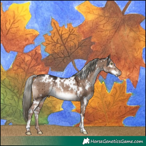 Horse Color:White Spotted Liver Red Dun Mushroom Rabicano Brindle 