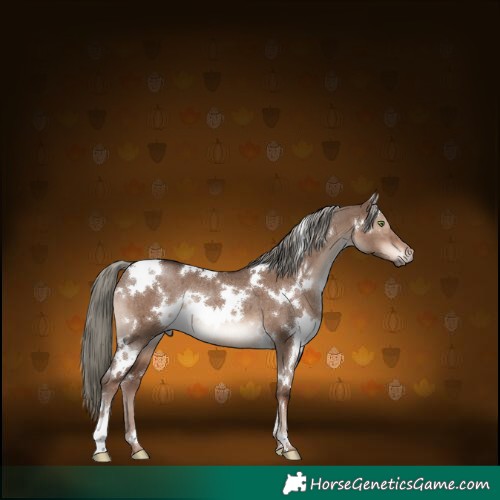 Horse Color:White Spotted Liver Red Dun Mushroom Rabicano Brindle 