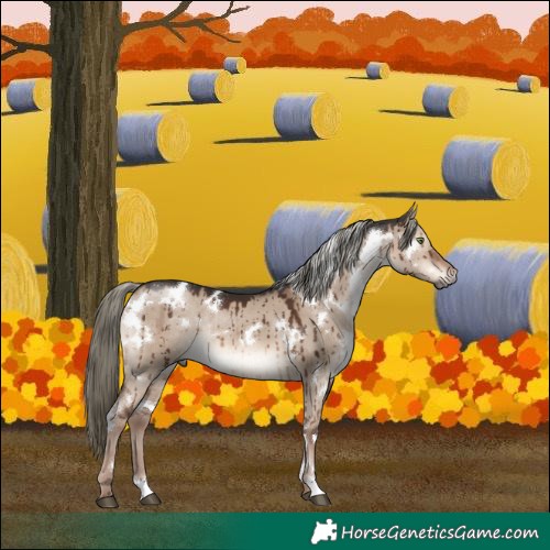 Horse Color:White Spotted Liver Red Dun Mushroom Rabicano Brindle 