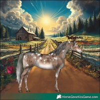 Horse Color:White Spotted Liver Red Dun Mushroom Rabicano Brindle