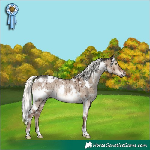 Horse Color:White Spotted Liver Red Dun Mushroom Rabicano Brindle 
