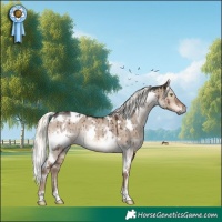 Horse Color:White Spotted Liver Red Dun Mushroom Rabicano Brindle 