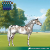 Horse Color:White Spotted Liver Red Dun Mushroom Rabicano Brindle 