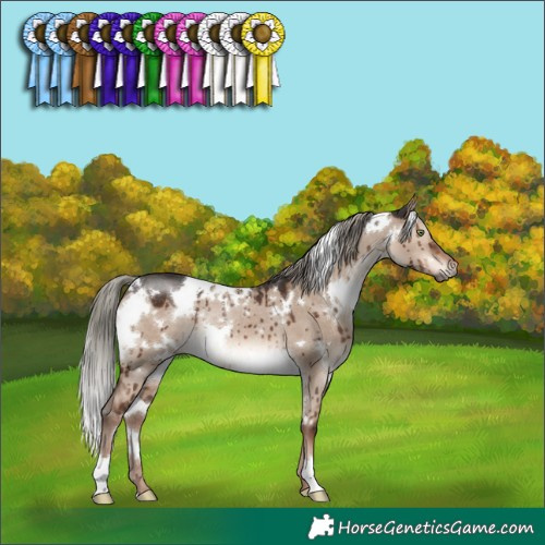 Horse Color:White Spotted Liver Red Dun Mushroom Rabicano Brindle 