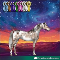 Horse Color:White Spotted Liver Red Dun Mushroom Rabicano Brindle 
