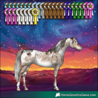 Horse Color:White Spotted Liver Red Dun Mushroom Rabicano Brindle