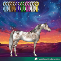 Horse Color:White Spotted Liver Red Dun Mushroom Rabicano Brindle 
