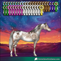 Horse Color:White Spotted Liver Red Dun Mushroom Rabicano Brindle 