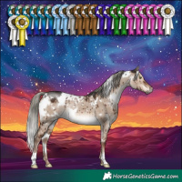 Horse Color:White Spotted Liver Red Dun Mushroom Rabicano Brindle