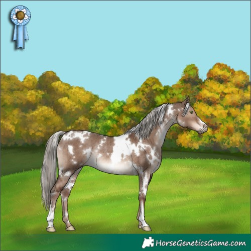 Horse Color:White Spotted Liver Red Dun Mushroom Rabicano Brindle 