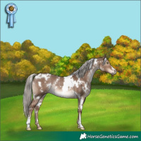 Horse Color:White Spotted Liver Red Dun Mushroom Rabicano Brindle 