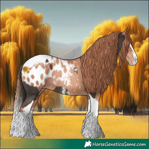 Horse Color:Liver Chestnut Sabino Splash Tobiano Appaloosa  and Gold Champagne Sabino Splash Tobiano Appaloosa 