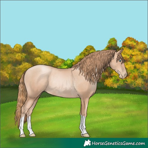 Horse Color:Gold Champagne Pearl Rabicano  and Gold Champagne Pearl Rabicano 