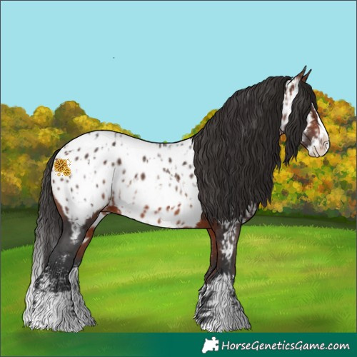 Horse Color:Bay Sabino Splash Near Leopard  and Bay Sabino Splash Near Leopard Rabicano 