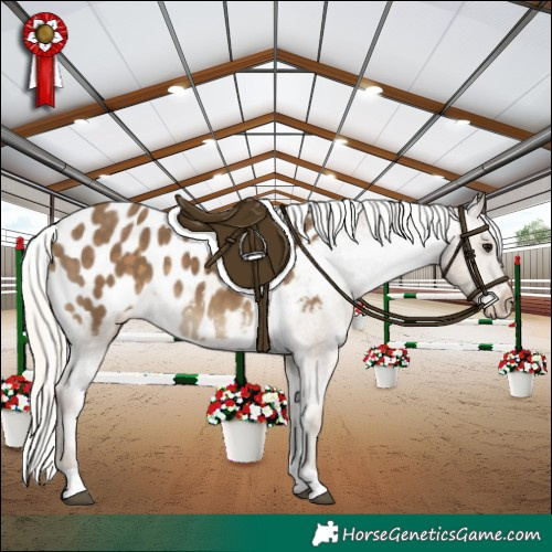 Horse Color:Silver Smoky Black Blanket 