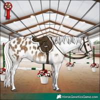 Horse Color:Silver Smoky Black Appaloosa