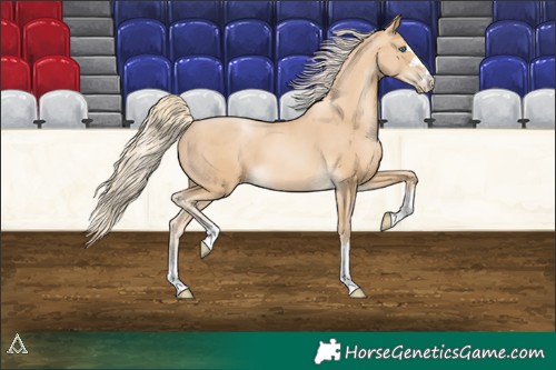 Horse Color:Unknown 