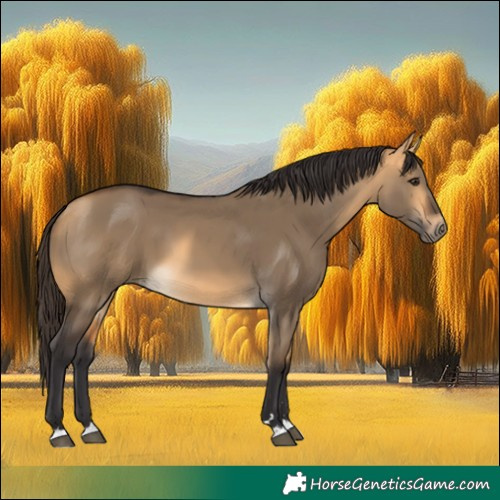 Horse Color:Buckskin Dun 