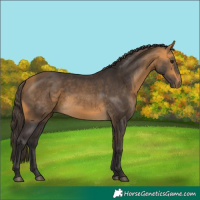 Horse Color:Buckskin 