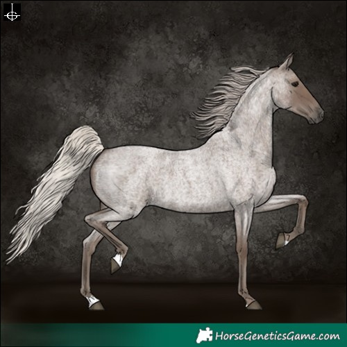 Horse Color:Silver Blue Roan