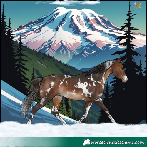 Horse Color:White Spotted Brown 