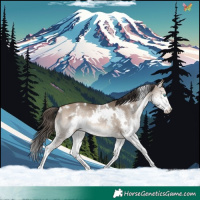 Horse Color:White Spotted Bay Dun Splash 