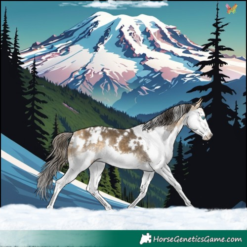 Horse Color:White Spotted Buckskin Splash 