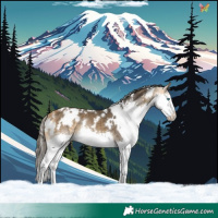 Horse Color:White Spotted Buckskin Splash