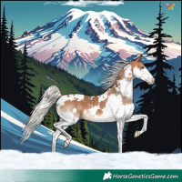 Horse Color:White Spotted Silver Bay Splash 