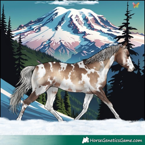 Horse Color:White Spotted Silver Brown Onyx 