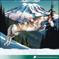 Horse Color:White Spotted Silver Brown Onyx