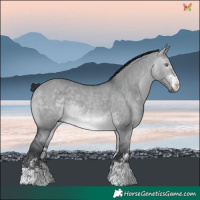 Horse Color:Brown Chinchilla Dun 