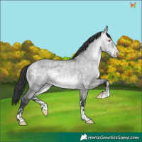 Horse Color:Brown Chinchilla Dun 