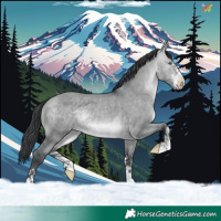 Horse Color:Brown Chinchilla Dun 