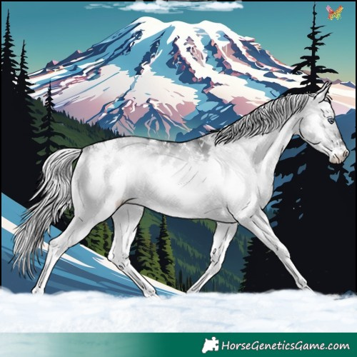 Horse Color:White Spotted Silver Brown Chinchilla Onyx 