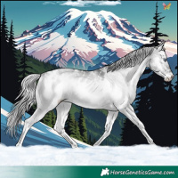 Horse Color:White Spotted Silver Brown Chinchilla Onyx 